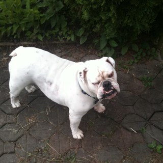 butterbeans144's profile picture. 