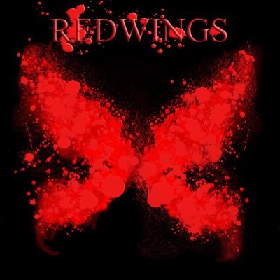 redwings18118's profile picture. I’m a gamer on Twitch and Facebook