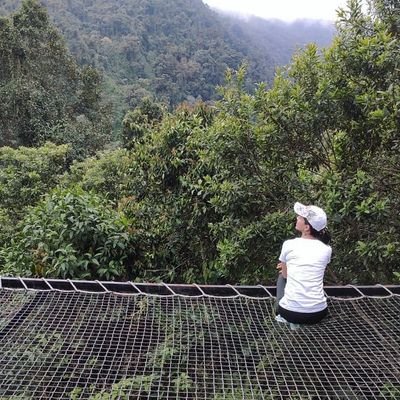 alejaloaiza3269's profile picture. 