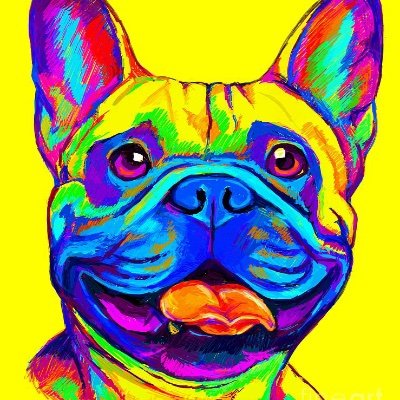 frenchie's profile picture. We are a French Bulldog rescue located in Texas, Oklahoma, and Arkansa. No dogs are for sale! #adoptdontshop Tweets will include information on how to adopt.