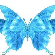 🦋 多 摩 野 紗 蝶 🦋さんのプロフィール画像
