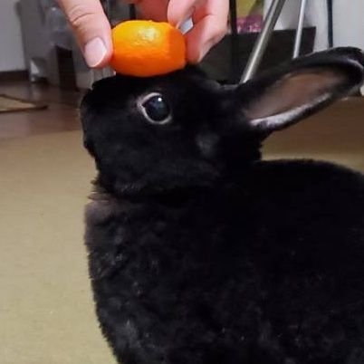 Kannaさんのプロフィール画像