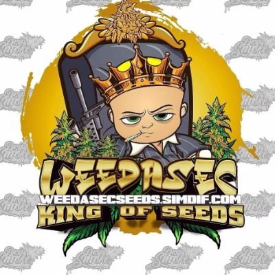 Custom Genetics , International Shipping web in the link ,
retailer in USA and Canada
weedasec on google
https://t.co/QitPlFdjFr