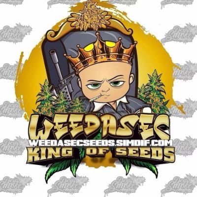 Custom Genetics , International Shipping   web in the link , 
retailer in USA and Canada
 weedasec on google
https://t.co/QitPlFdjFr