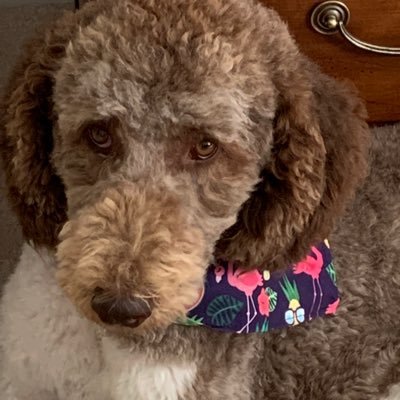 JanieRother's profile picture. 