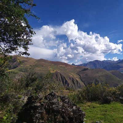 maygosb's profile picture. Blockchain for better...