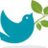 ウェルネスツーリズム専門旅行会社 ウェルネス・ツアーのTwitterプロフィール画像