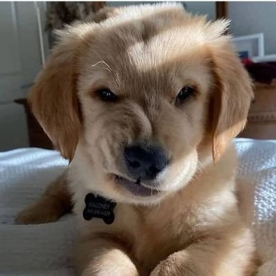 jejee22599's profile picture. 