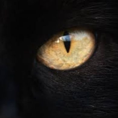 Tayla55690023's profile picture. 