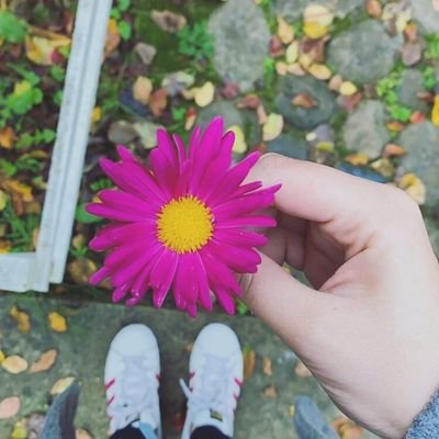 FatimaJaffar93's profile picture. There are so many beautiful reasons to be happy 💛

(IT Developer 💻)

**
🎮✈️