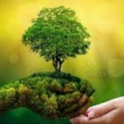 SaveMotherEar17's profile picture. Helping all living beings