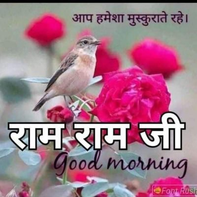 akansha050's profile picture. Good | 'Reddio'