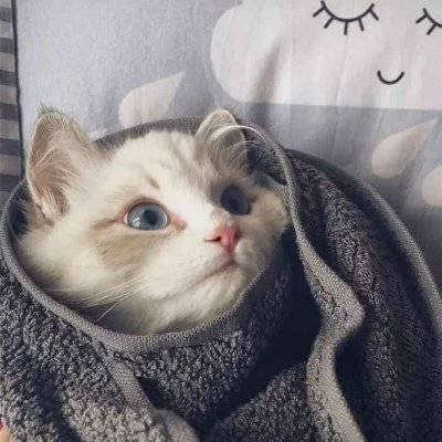 foxybae_shop's profile picture. Hair & Beauty 🧖‍♀️💆‍♀️✨💋
Protein for 🤰👧👨‍👩‍👧
ORGANIC ☘️
Crulety free 🐰
Chemicals and Formaldehyde free
Skin needling  ✨🧖‍♀️💆‍♀️
bookings 📥