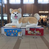 くらぴょん(北陸地方) 4/26〜関東 O-EAST →「Devigala」👿 (@kurapyon0077) 's Twitter Profile
