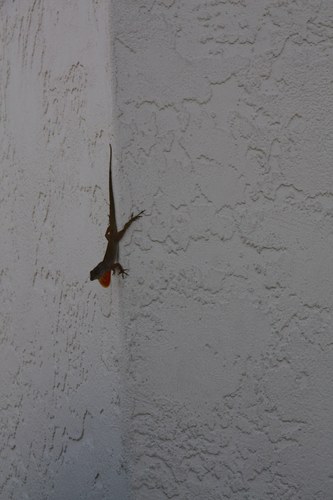 Sau59g79's profile picture. 