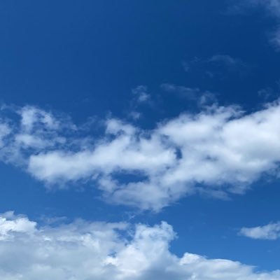 晴來~明日はきっと晴れる～さんのプロフィール画像