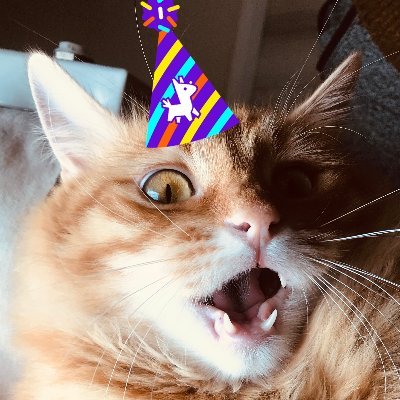 gloriabucks's profile picture. #Avax #Avalanche