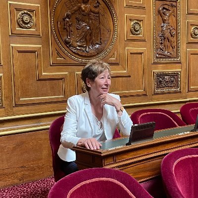 Sénatrice de la Haute-Garonne @senateursPS, Membre de la Commission des Affaires Sociales, Conseillère départementale du canton d'Escalquens @hautegaronne