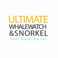 Ultimate Whale Watch & Snorkel(@UltmWhaleNSnrkl) 's Twitter Profile Photo