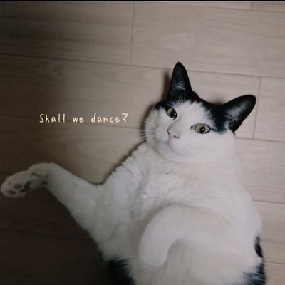 maki0269's profile picture. 『一人』も『楽しめる』って素敵♥