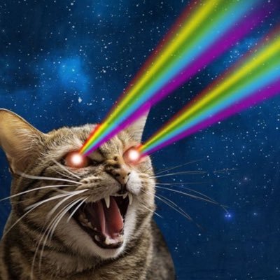 Basically just shouting at reality TV. It’s a new account. I have no followers. (PS I don’t feed trolls and will delete and block if you are vile).