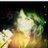 Amy Kingさんのプロフィール画像