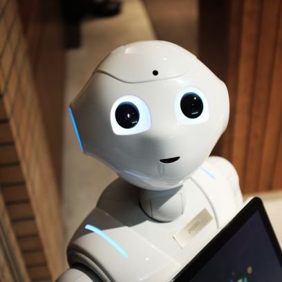 Amir_hussen13's profile picture. Proud 🖤❤🌳