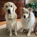 Mom of Reece ๐and Finn๐ถ๐ถ๐๐บ๐ธ๐ฆ
(@harassandy) Twitter profile photo Mom of Reece ๐and Finn๐ถ๐ถ๐๐บ๐ธ๐ฆ
(@harassandy) Twitter profile photo