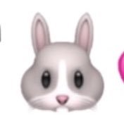 pyonpyon3456's profile picture. 取引