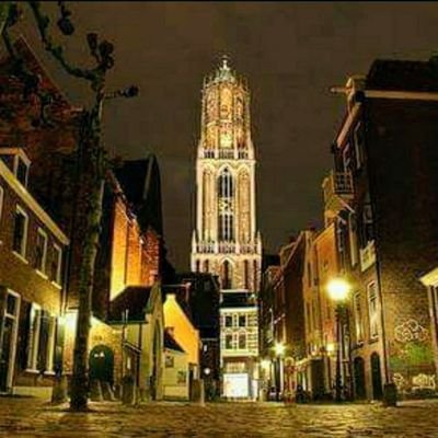 fcdwars's profile picture. 