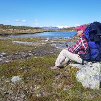 Per Lægreid (@perlagreid) 's Twitter Profile