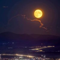 moon (@max24870450) 's Twitter Profile