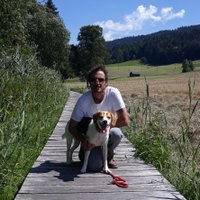 Joseph Presti ✝️ (@presti70) 's Twitter Profile