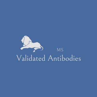 MS Validated Antibodies GmbH is devoted to deliver optimal monoclonal antibodies for immunohistochemistry.