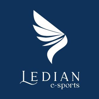 LEDIAN e-sports