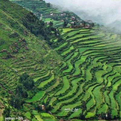 AaFtScepPOtGUvk's profile picture. ‏‏العمر 23 العمل في معهد صناعي أحب التعارف بجديه وصدق