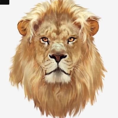 القرآن الكريم..الشعر  و موسيقى برشلونة و قوه الجويه