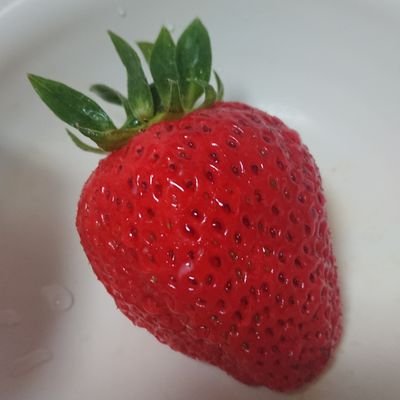 スマチーズさんのプロフィール画像