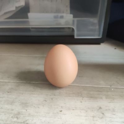 LI31743474's profile picture. 杂染世间，浑然不知。