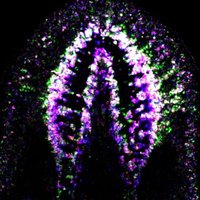 Palakodeti Lab (@palakodeti_lab) 's Twitter Profile Photo Palakodeti Lab (@palakodeti_lab) 's Twitter Profile Photo