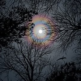 OldGreyGuitar's profile picture. 