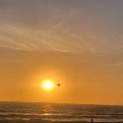 DennisCdholsac's profile picture. 🇺🇸#MAGA #KAG #NRA #TRUMP45-47