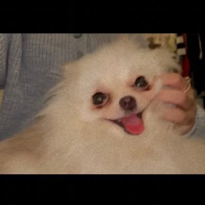 ルールを放棄する