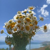 Rümeysa Şenol (@rmeysaenol5) 's Twitter Profile