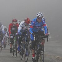 Dana Farmer - @Critrider Twitter Profile Photo