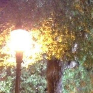 Mamuiseedump's profile picture. 