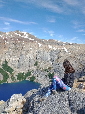 Natural Renewable Resources Engineer.
PhD at CONICET PATAGONIA.
I study organic matter and nutrients dynamics in shallow lakes.