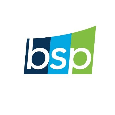 bsppartner Profile Picture