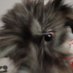 Hera (@herawdede) Twitter profile photo Hera (@herawdede) Twitter profile photo