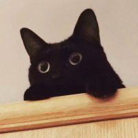 yi_han (@yihan30303599) 's Twitter Profile